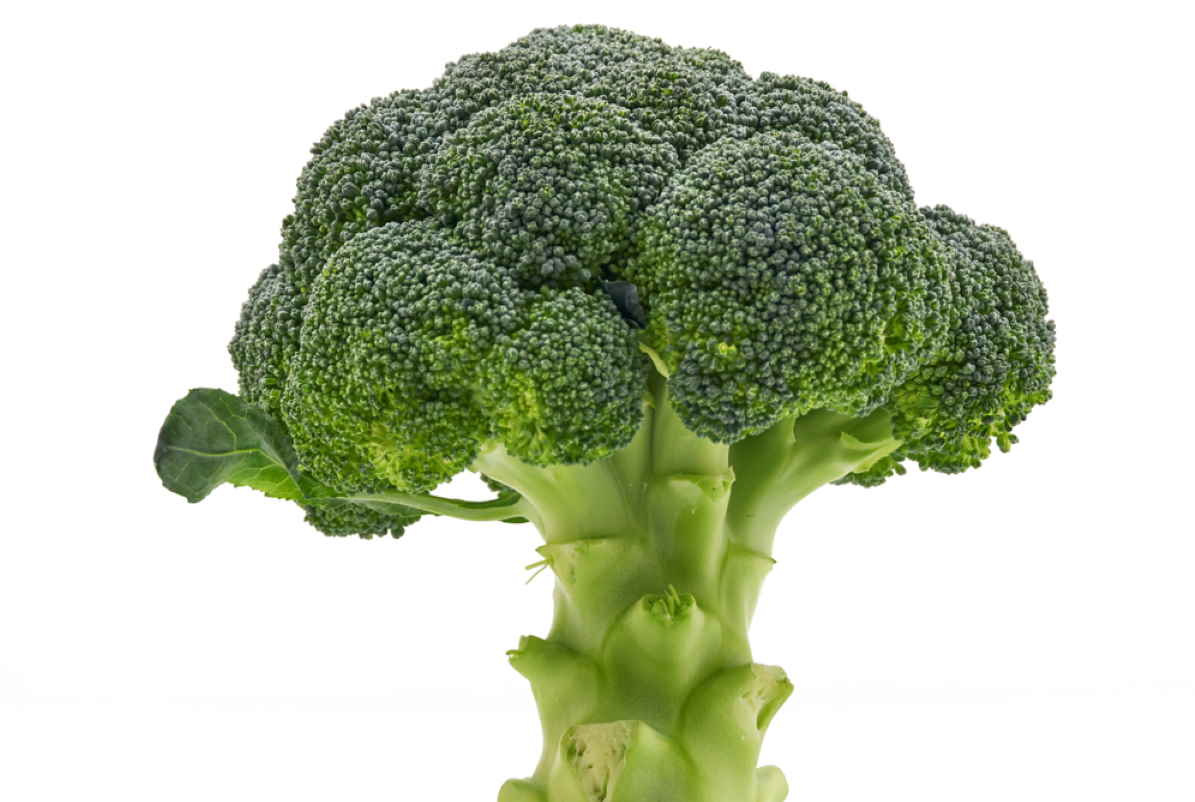 broccoli4